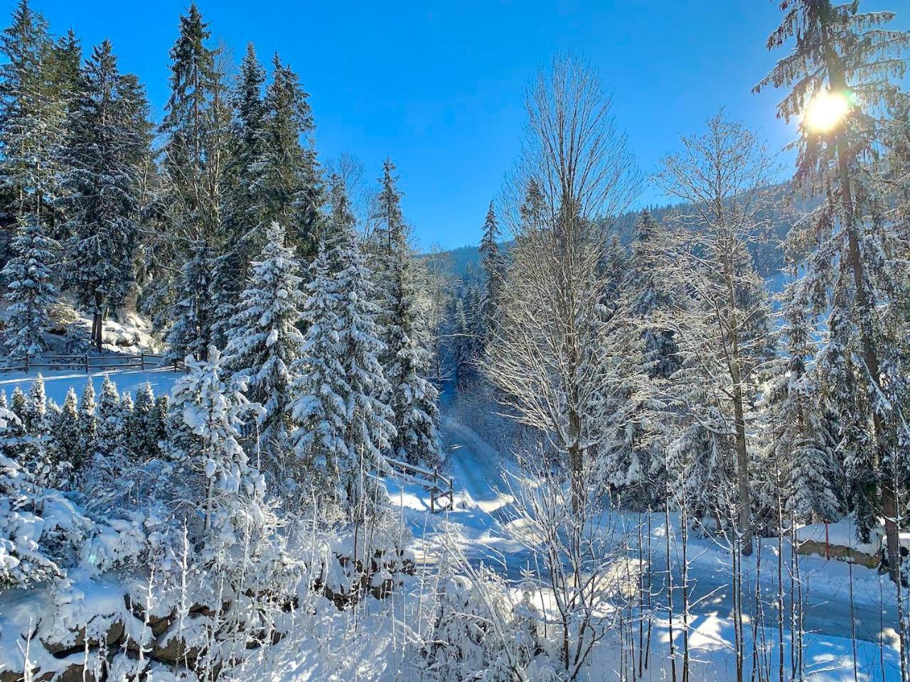 Haus Widmann Apartamento Scheffau am Wilden Kaiser Exterior foto